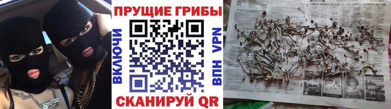 Галлюциногенные грибы GOLDEN TEACHER  Петров Вал 